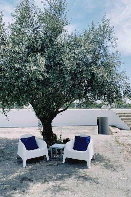 Casa Da Oliveira Villa Nelas Luaran gambar