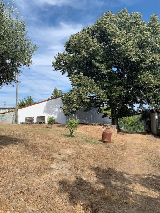 Casa Da Oliveira Villa Nelas Luaran gambar